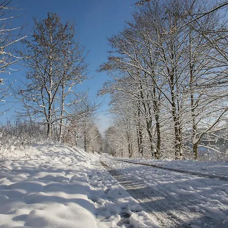 Welcome In - In In Den Bergen, Direkt An Der Piste Daire Winterberg